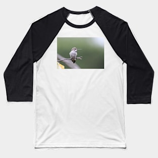 Hummingbird with bow Baseball T-Shirt